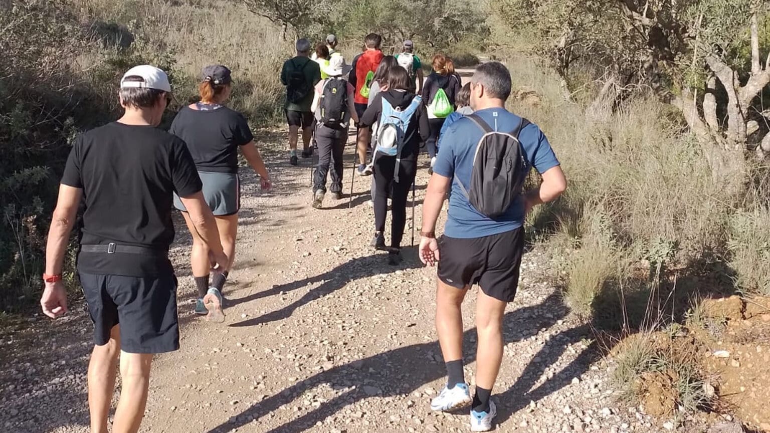 Caminhada Desportiva em Palmela: Do Moinho ao Posto de Vigia
