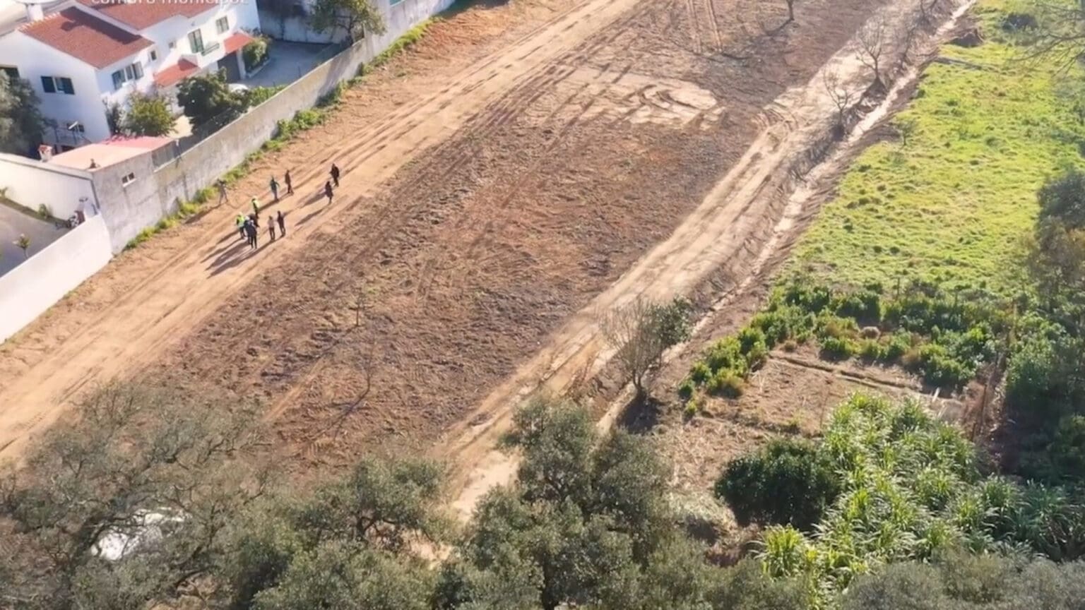 Parque Agrícola da Quinta da Princesa: Uma Iniciativa Sustentável e Comunitária
