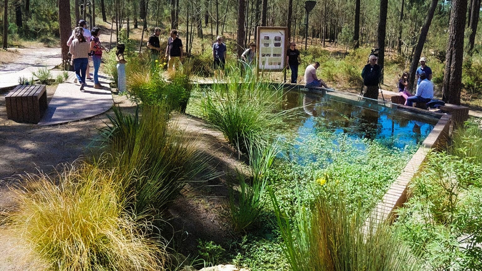 Aproveite um Passeio Guiado pelo Parque Metropolitano da Biodiversidade no Seixal