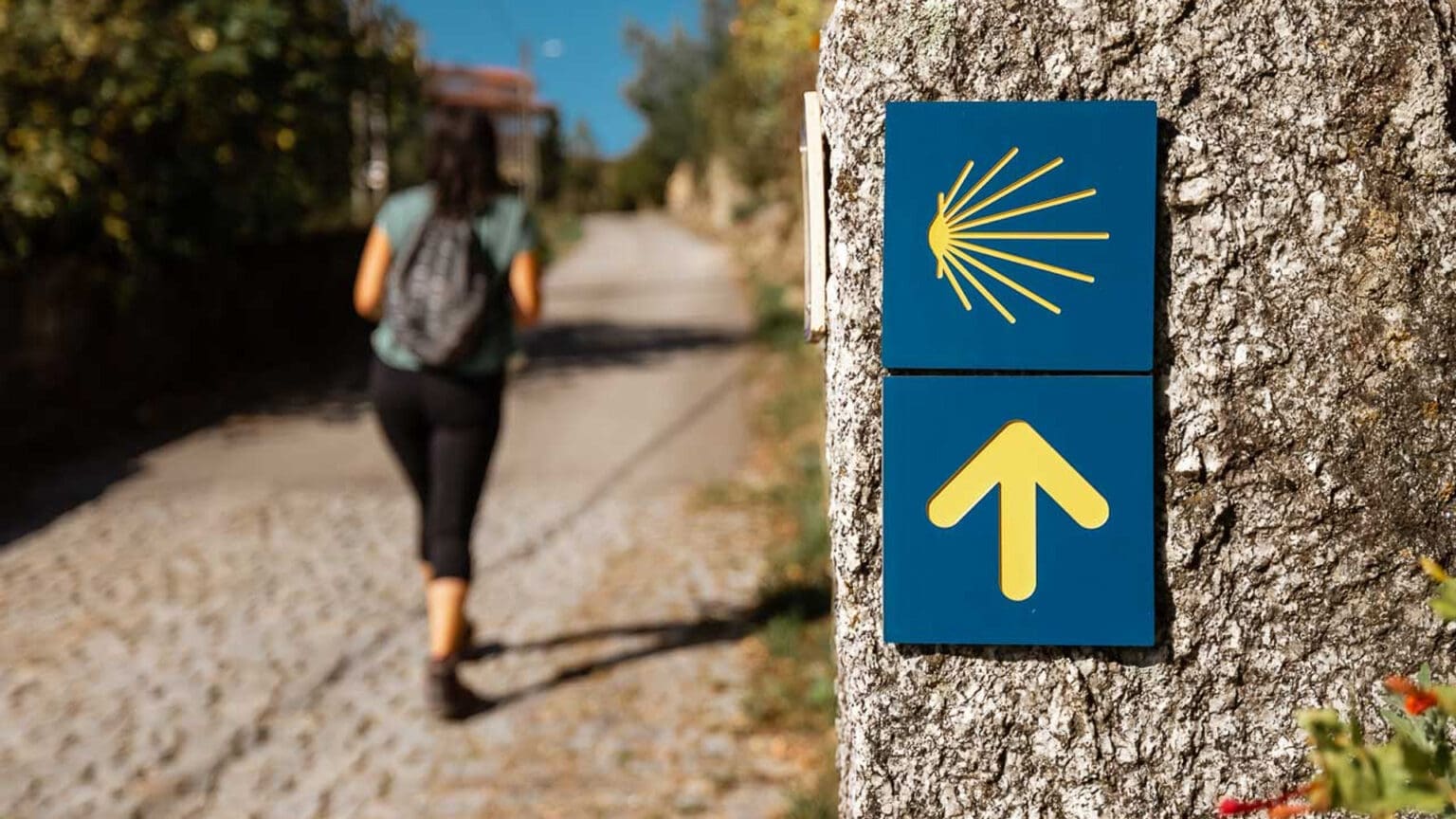 Celebrando o Caminho de Santiago em Palmela: Uma Jornada Histórica e Emocional
