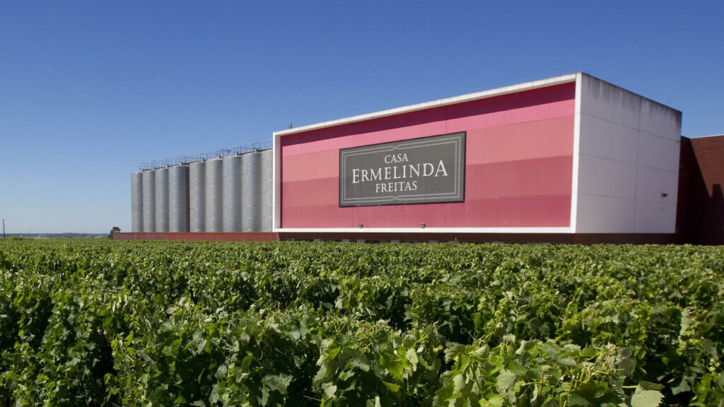Mostra Gastronómica
