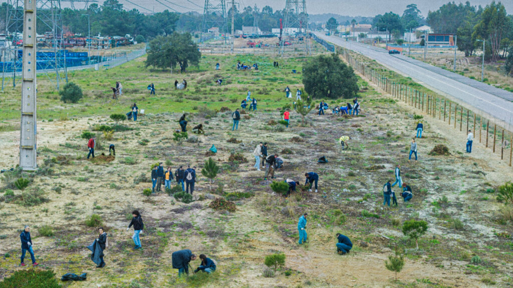 corredor verde