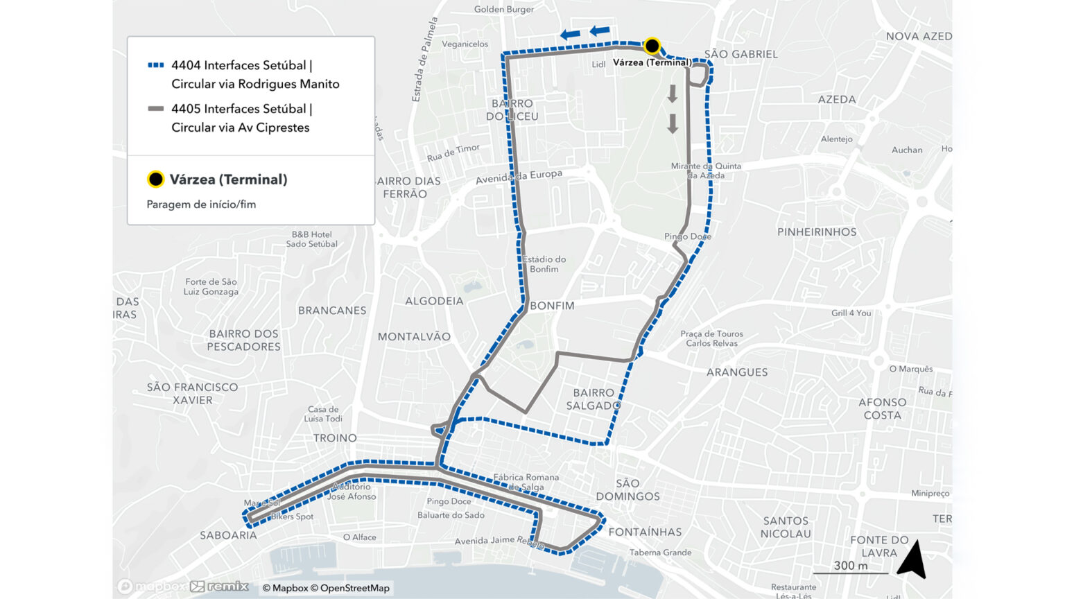 Carris Metropolitana tem uma nova linha e 43 reforços de horário em Setúbal