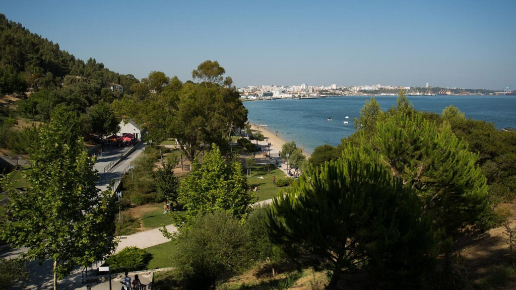 Parque Urbano de Albarquel