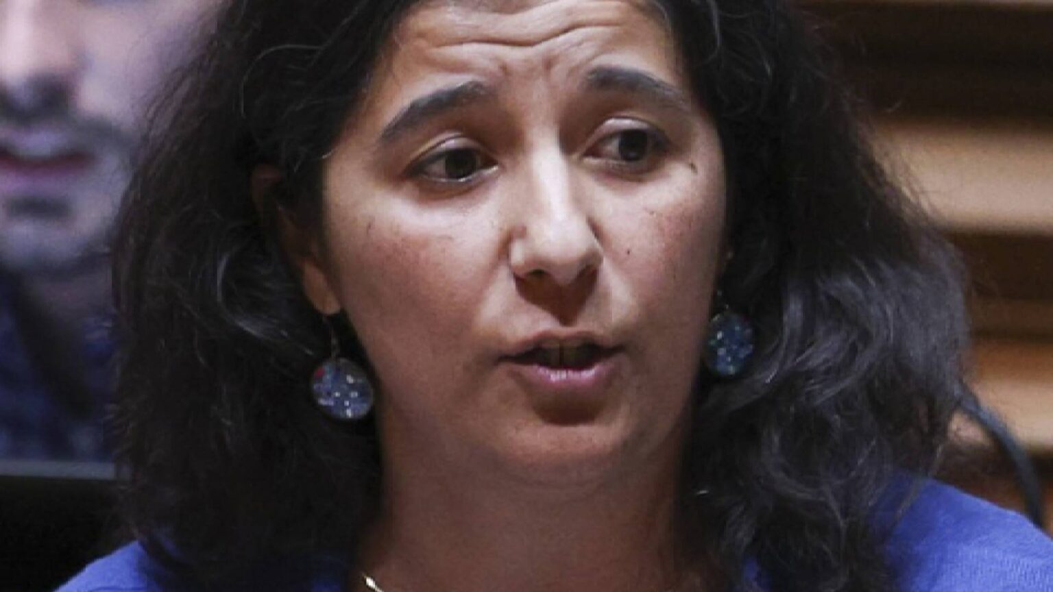 Quem é Paula Santos?