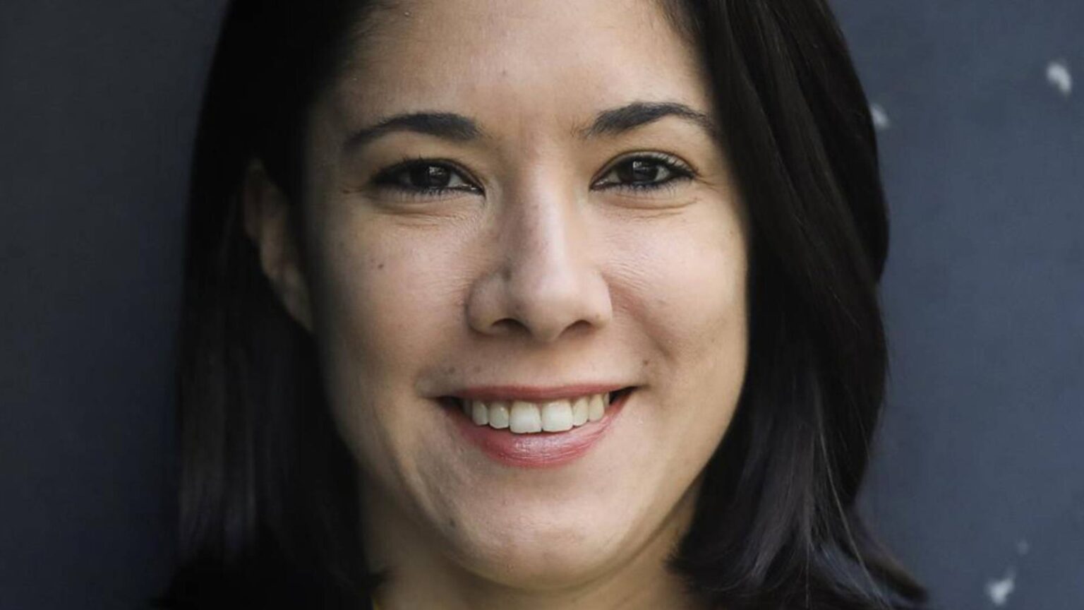 Quem é Joana Mortágua?
