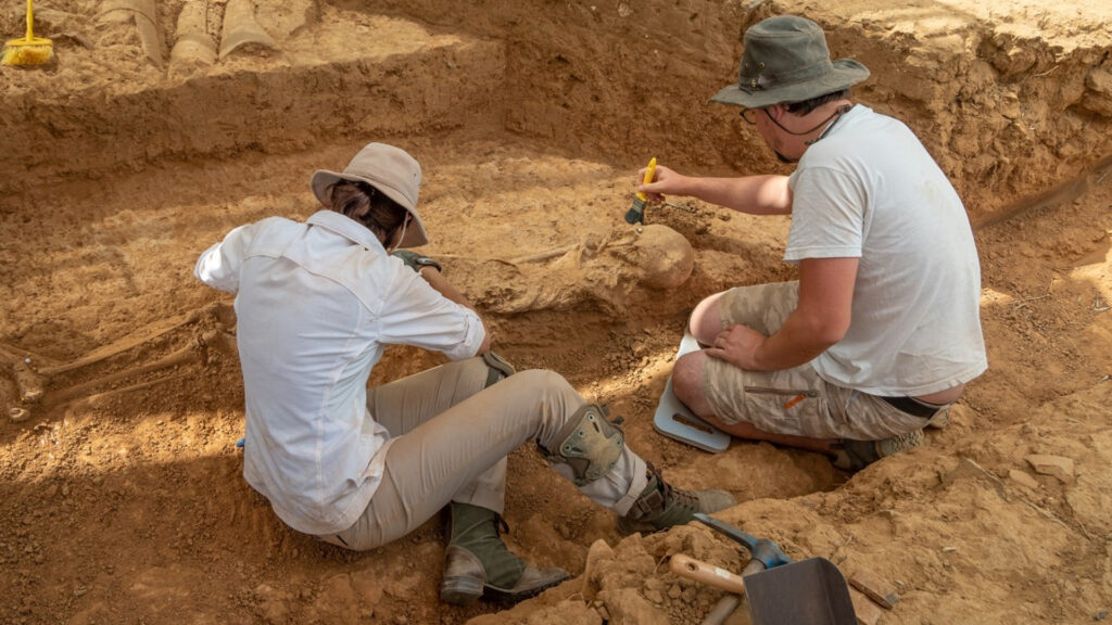 Arqueologia