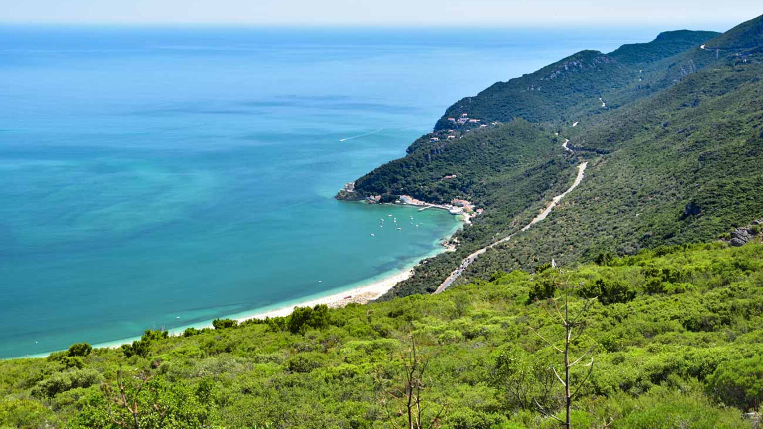 Setúbal celebra o Dia Mundial do Ambiente