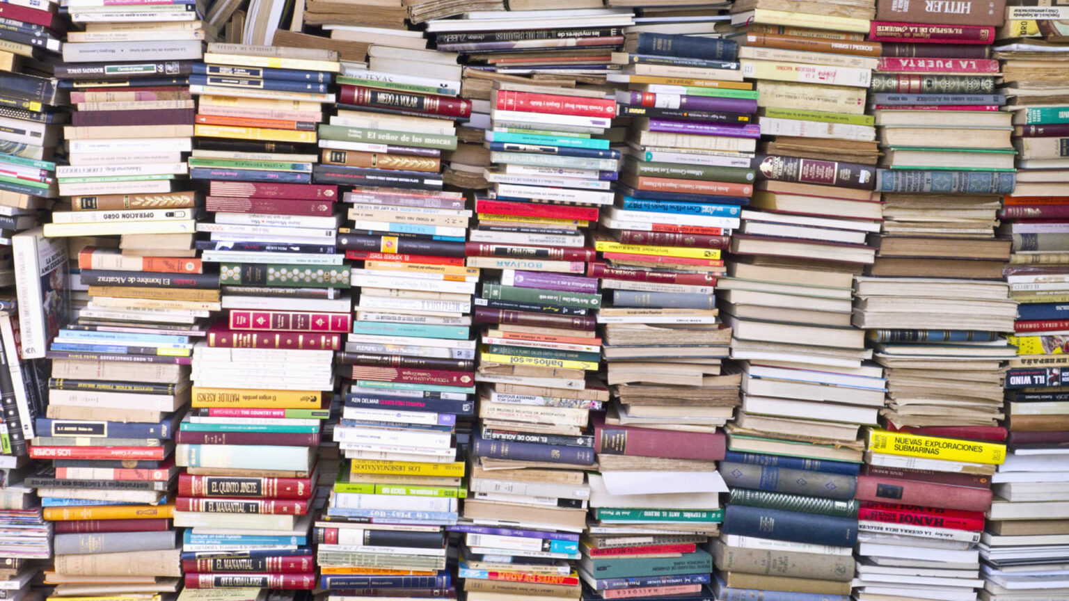 Participe nas Festas com Livros em Palmela
