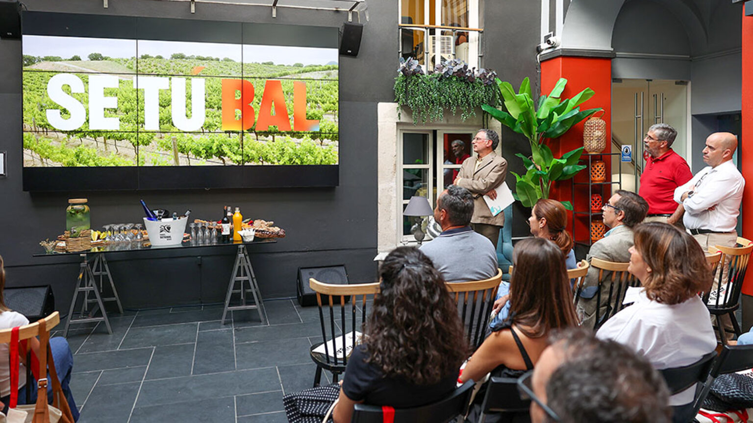 Campanha ‘SE TÚ BAL’ revela excelência dos vinhos da região