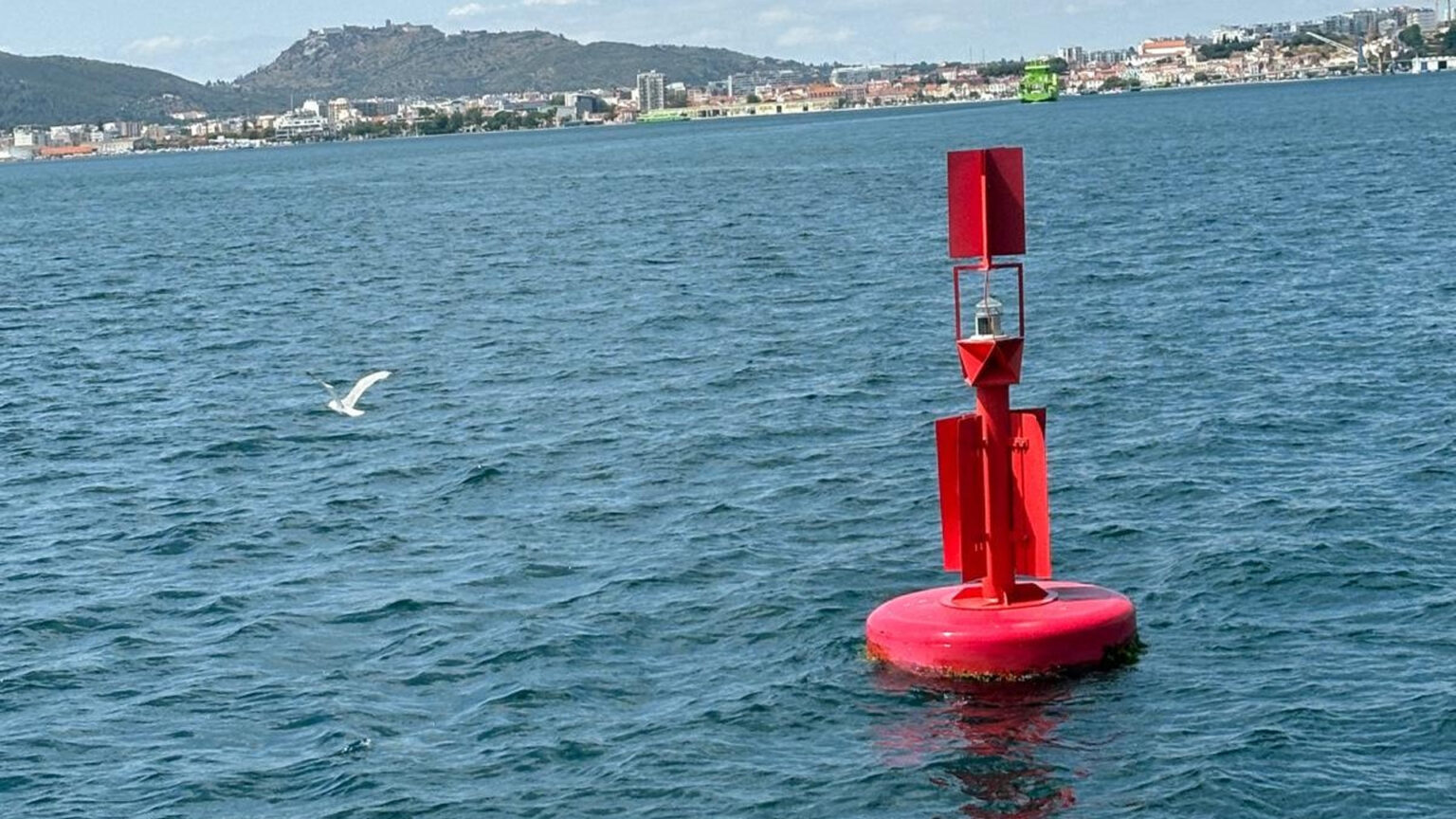Estuário do Sado vai ser monitorizado pelo Projeto CoastNet 2030
