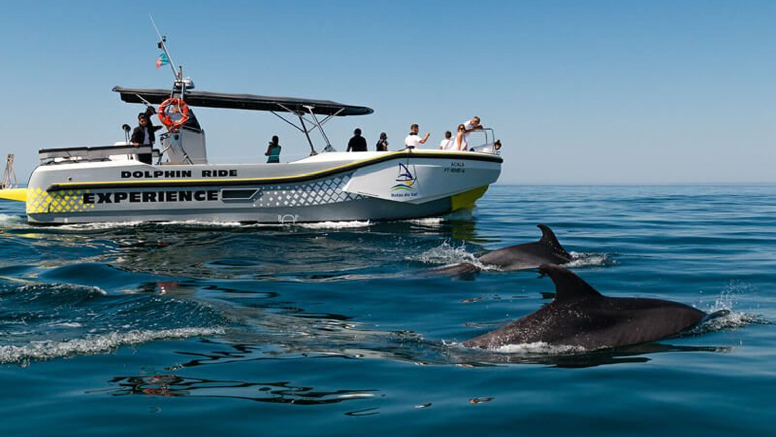 Prepare-se para um passeio de barco entre Setúbal e Alcácer do Sal