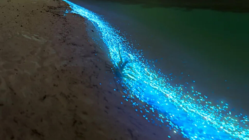 passeio noturno