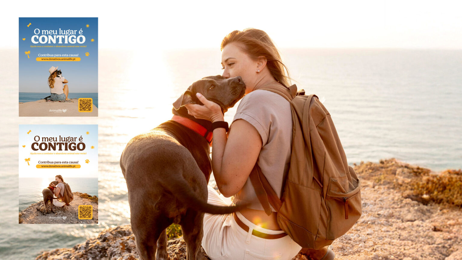 Mais de 2300 animais foram abandonados no Distrito de Setúbal em 2024