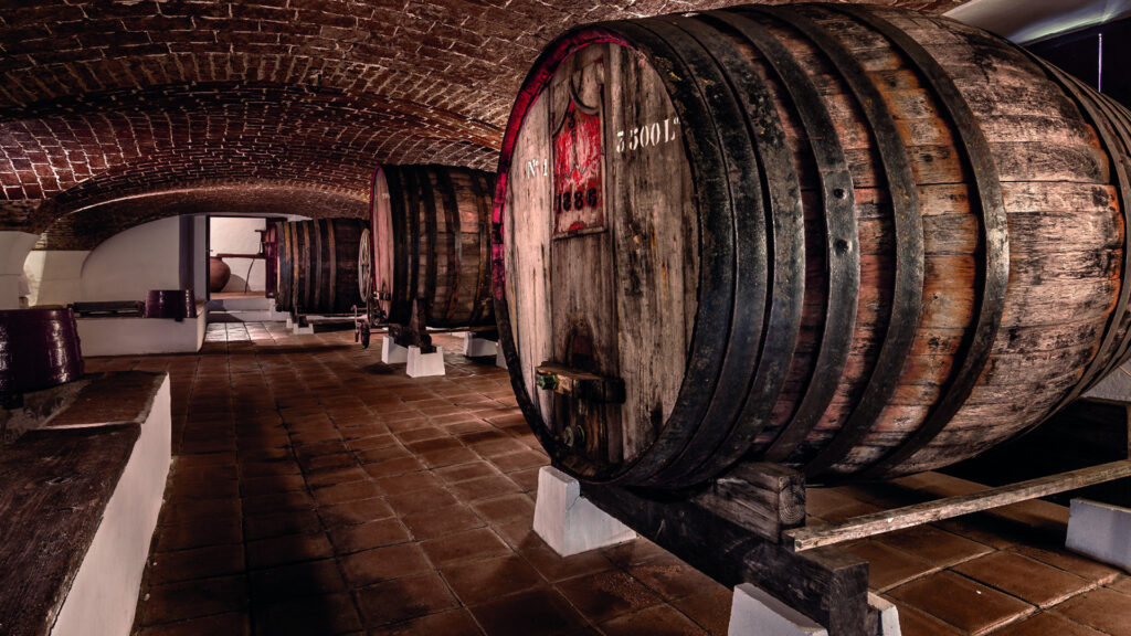 Halloween com sabor a moscatel: adegas da Margem Sul abrem-se ao mistério e à família 2 Halloween com sabor a moscatel