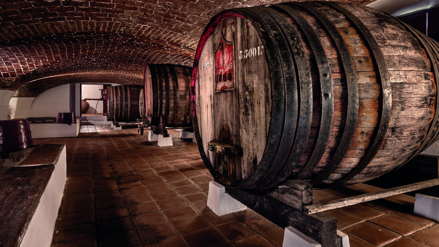 Halloween com sabor a moscatel: adegas da Margem Sul abrem-se ao mistério e à família 1 Halloween com sabor a moscatel: adegas da Margem Sul abrem-se ao mistério e à família