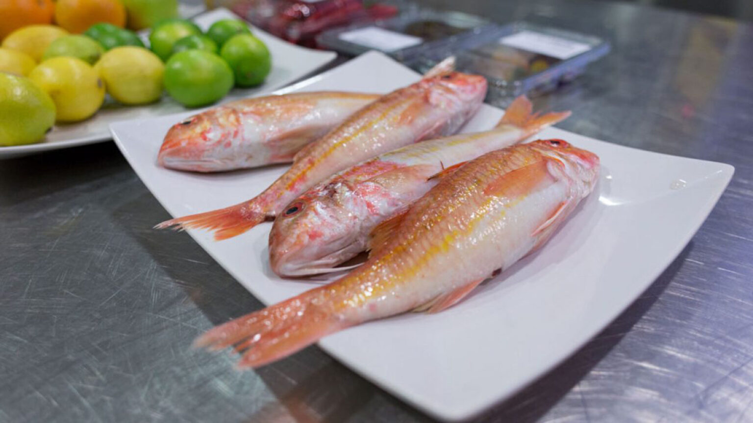 Setúbal celebra o sabor do mar na Semana do Salmonete