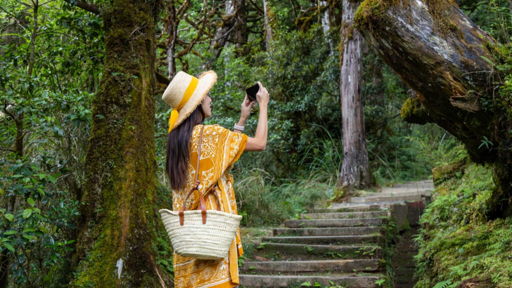 Setúbal dinamiza workshop online sobre turismo sustentável e cidadania europeia 4 turismo sustentável