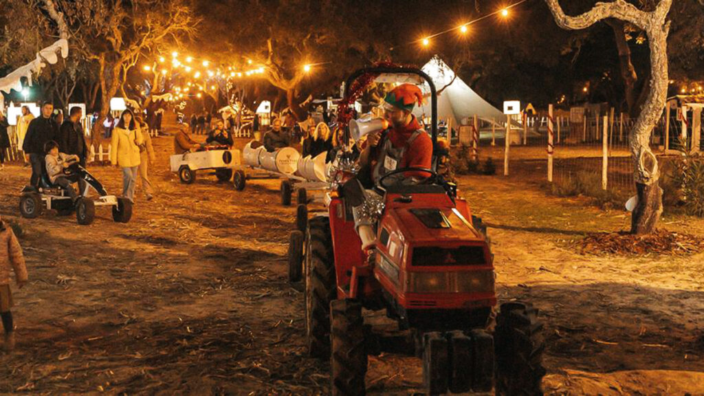 Já abriu a maior vila Natal do Alentejo. Tem um safari, arborismo e pista de gelo 2 Black Pig