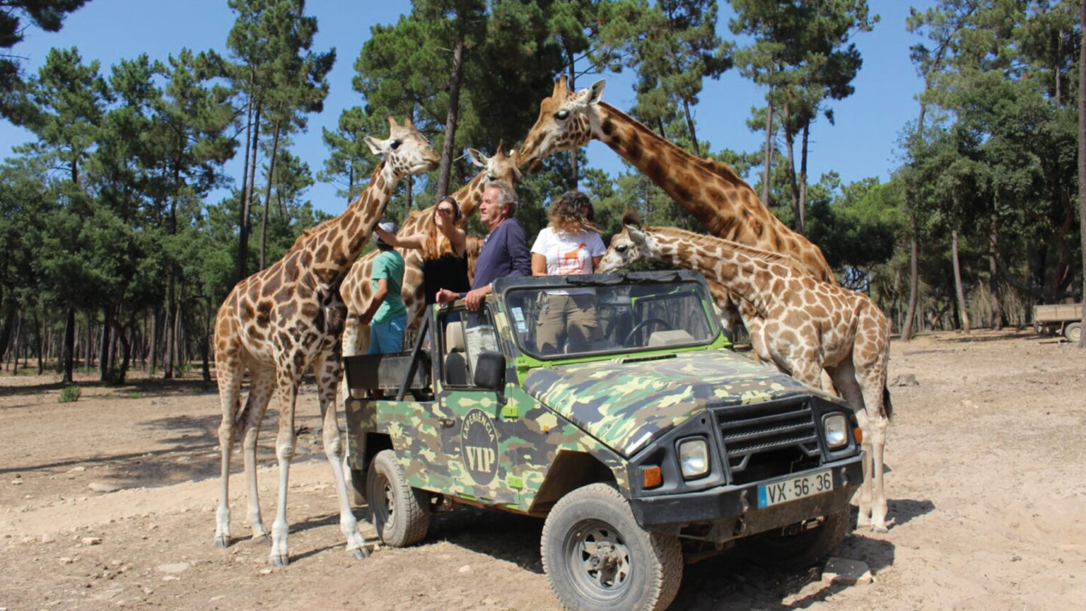 Não sabe o que oferecer este Natal? O maior parque temático de Santiago do Cacém tem vouchers com experiências imperdíveis 1 Não sabe o que oferecer este Natal? O maior parque temático de Santiago do Cacém tem vouchers com experiências imperdíveis