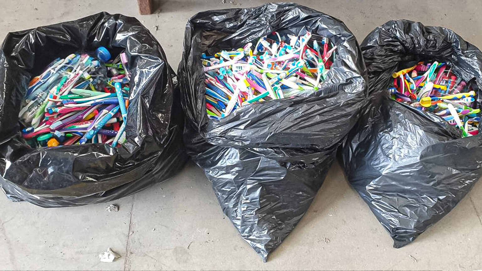 Projeto Eco-Escolas de Sesimbra lança campanha de recolha de escovas de dentes usadas