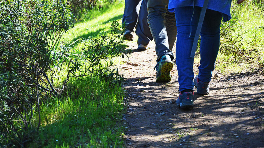 Caminhada Solidária junta “hikers” em Santiago do Cacém 2 Caminhada Solidária