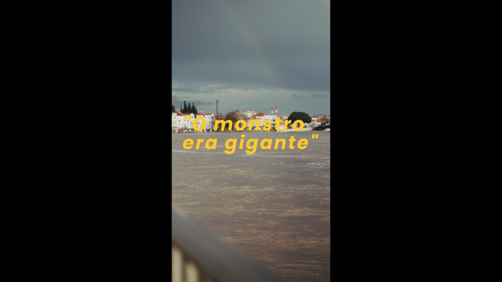 Documentário: o dia em que o monstro gigante engoliu Alcácer do Sal 4 Documentário Alcácer do Sal